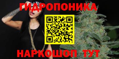 марки lsd Новозыбков