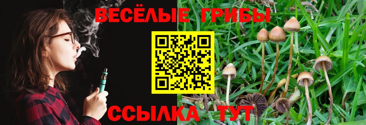 Галлюциногенные грибы ЛСД  Вход с VPN  Туймазы 